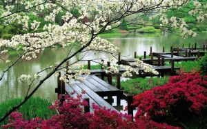 inspired by asia - japanese-garden-washington-park.jpg